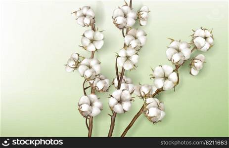Realistic cotton branches with flowers, beautiful stems with white blossoms isolated on green background, natural fluffy fiber ripe bolls with soft texturedesign element 3d vector illustration clipart. Realistic cotton branches with flowers and stems