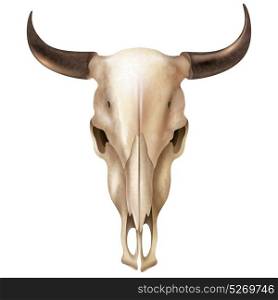 Realistic Cow Skull. Realistic cow skull with stains and black shiny horns on white background isolated vector illustration