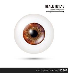 Realistic Detailed Human Eyeball. Vector Illustration. Photo Realistic Eyeball. Human Retina. Vector Illustration Of 3d Human Glossy Eye With Shadow And Reflection. Front View. Isolated On White Background