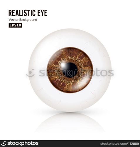 Realistic Detailed Human Eyeball. Vector Illustration. Photo Realistic Eyeball. Human Retina. Vector Illustration Of 3d Human Glossy Eye With Shadow And Reflection. Front View. Isolated On White Background