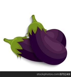 Realistic eggplant vegetables whole, vector illustration