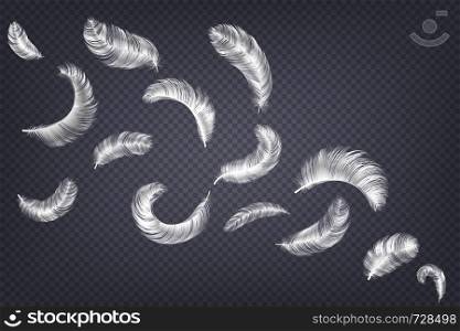 Realistic feathers. Fluffy white goose and swan different falling fluffy twirled feather, weightless plume isolated vector set on transparent background. Realistic feathers. Fluffy white goose and swan different falling fluffy twirled feather, weightless plume isolated vector on transparent background