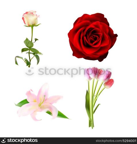Realistic Flower Set High Quality Vector Illustration EPS10. Realistic Flower Set High Quality Vector Illustration