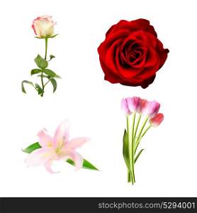 Realistic Flower Set High Quality Vector Illustration EPS10. Realistic Flower Set High Quality Vector Illustration