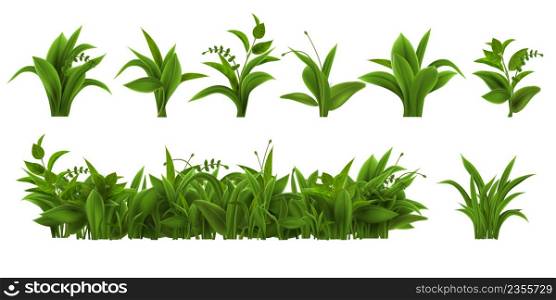 Realistic fresh green grass, weed and herb leaves. Spring plant tufts and bushes. Summer field, garden lawn or meadow vegetation vector set. Plant stems for land. Natural outdoor greenery. Realistic fresh green grass, weed and herb leaves. Spring plant tufts and bushes. Summer field, garden lawn or meadow vegetation vector set