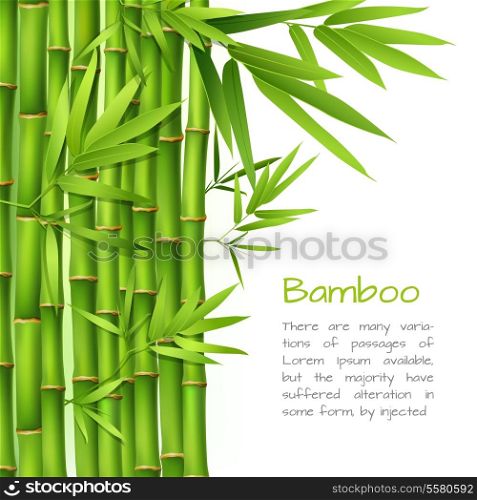 Realistic green bamboo plant grass tree oriental japanese background vector illustration