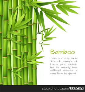 Realistic green bamboo plant grass tree oriental japanese background vector illustration