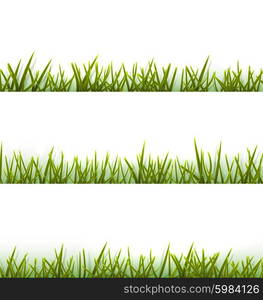 Realistic green grass collection isolated on white. Realistic green grass collection isolated on white background - vector