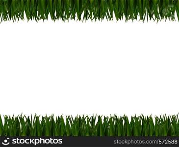 Realistic green grass horizontal border frame isolated on white background with empty copy space for text. Spring or summer vector Illustration, template, clip art, banner, poster, signboard.. green grass horizontal frame isolated on white background