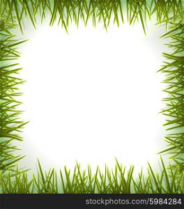 Realistic green grass like frame isolated on white, floral eco nature background - vector