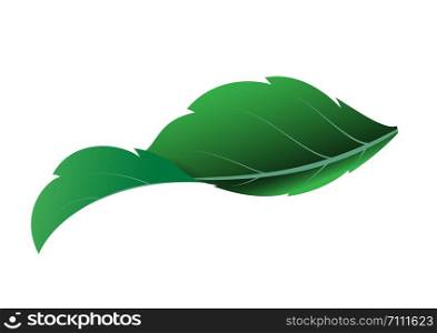 Realistic Green Leaves. leaf icon isolated on white background .Vector Illustration