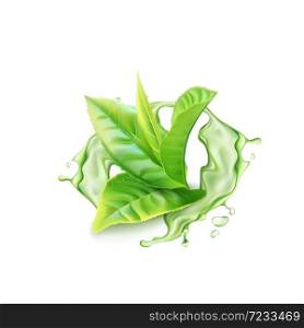 Realistic green tea branch with water splash. Vector illustration