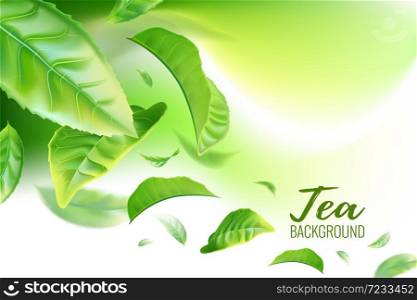Realistic green tea leaves background for advertising poster. Vector illustration