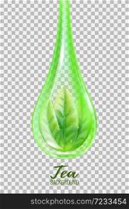Realistic green tea leaves in a drop . Vector illustration
