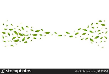 Realistic green tea leaves in motion on a white background. Background with flying green spring leaves. Organic, eco, vegan design. Vector illustration. Realistic green tea leaves in motion