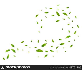 Realistic green tea leaves in motion on a white background. Background with flying green spring leaves. Organic, eco, vegan design. Vector illustration. Realistic green tea leaves in motion