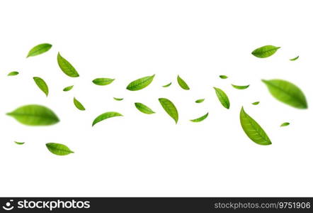 Realistic green tea leaves in motion on a white background. Background with flying green spring leaves. Organic, eco, vegan design. Vector illustration. Realistic green tea leaves in motion