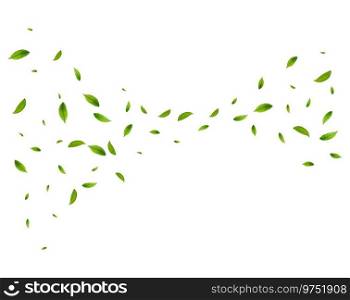Realistic green tea leaves in motion on a white background. Background with flying green spring leaves. Organic, eco, vegan design. Vector illustration. Realistic green tea leaves in motion