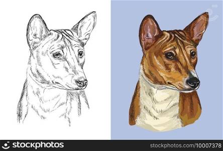 Realistic head of american Basenji. Vector black and white and colorful isolated illustration of dog. For decoration, coloring book, design, prints, posters, postcards, stickers, tattoo, t-shirt. Vector illustration portrait of cute dog Basenji