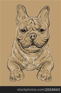 Realistic head of French bulldog dog vector hand drawing illustration isolated on brown background. For decoration, coloring book pages, design, print, posters, postcards, stickers, t-shirt. French bulldog dog vector hand drawing vector brown