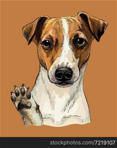 Realistic head of Jack russel terrier dog. Color vector hand drawing illustration isolated on brown background. For decoration, design, print, posters, postcards, stickers, t-shirt, embroidery. Jack russel terrier dog vector hand drawing color
