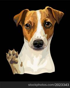 Realistic head of Jack russel terrier dog. Color vector illustration isolated on black background. For decoration, design, print, posters, postcards, stickers, t-shirt, embroidery. Jack russel terrier dog vector color illustration on black background