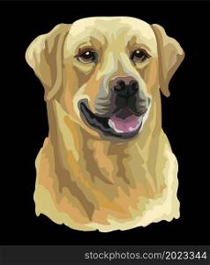 Realistic head of labrador retriever dog. Color vector illustration isolated on black background. For decoration, embroidery, design, print, posters, postcards, stickers, t-shirt. Labrador retriever dog vector color illustration on black background