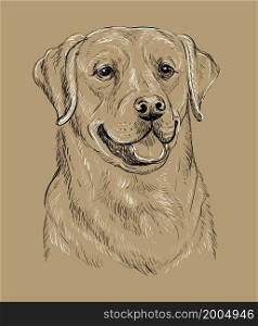 Realistic head of labrador retriever dog vector hand drawing illustration isolated on brown background. For decoration, coloring book pages, design, print, posters, postcards, stickers, t-shirt. Labrador retriever dog vector hand drawing vector brown