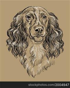 Realistic head of russian spaniel dog vector hand drawing illustration isolated on brown background. For decoration, coloring book pages, design, print, posters, postcards, stickers, t-shirt. Spaniel dog vector hand drawing vector brown