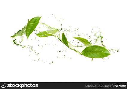 Realistic herbal tea splash, green tea leaves and water drops. Vector 3d fresh plant, organic drink explosion motion with splatters. Mint foliage in transparent aqua, natural aromatic beverage ads. Realistic herbal tea splash, green leaves, water