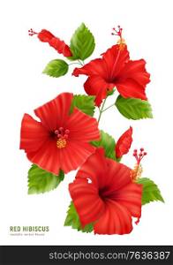 Realistic hibiscus composition with editable text and isolated image of flowers blossom with leaves and stems vector illustration
