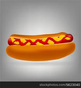 Realistic hot dog icon vector illustration