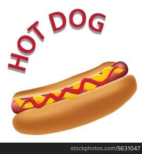 Realistic hot dog vector illustration. EPS 10.
