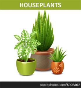Realistic Houseplants Composition . Realistic houseplants composition with green plants pots and ground vector illustration