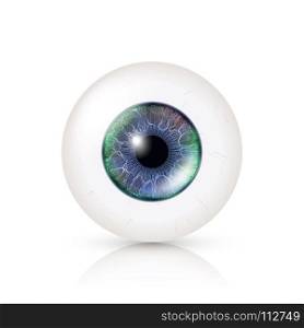 Realistic Human Eyeball. 3d Glossy Photorealistic Eye Detail With Shadow And Reflection. Isolated On White Background. Vector Illustration. Realistic Human Eyeball. 3d Glossy Photorealistic Eye Detail With Shadow And Reflection. Isolated On White Background. Vector Illustration.
