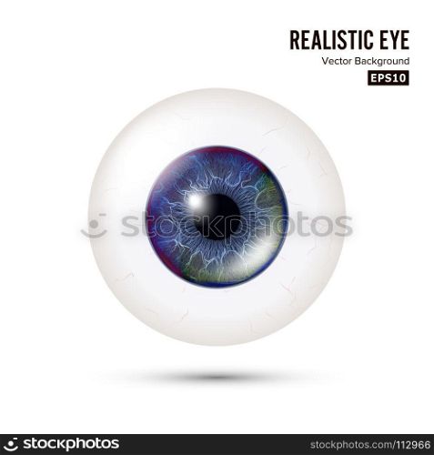 Realistic Human Eyeball. 3d Glossy Photorealistic Eye Detail With Shadow And Reflection. Isolated On White Background. Vector Illustration. Realistic Human Eyeball. 3d Glossy Photorealistic Eye Detail With Shadow And Reflection. Isolated On White Background. Vector Illustration.