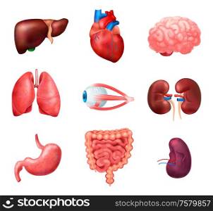 Realistic human internal organs anatomy icon set with lungs heart liver kidneys brain eyes spleen intestines vector illustration