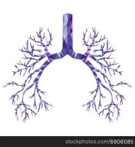 Realistic Human low poly bronchus with trachea, carina in purple and blue. Human organ. Vector.