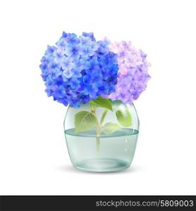 Realistic hydrangea flower in glass jar with water isolated on white background vector illustration. Hydrangea In Jar