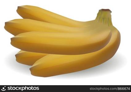 Realistic illustration of bunch of bananas isolated on white background, banana icon, banana image, illustration