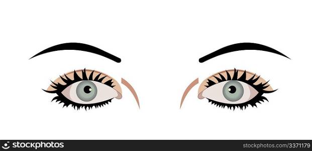 Realistic illustration of eyes are isolated on white background. Vector