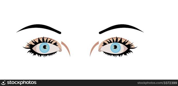 Realistic illustration of eyes are isolated on white background. Vector