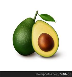 Realistic isolated green avocado fruit, whole and half cut fruit. Vector fresh vegetable cross section with leaf and brown pit. Vegetarian food, keto diet ingredient, vegan nutrition. Realistic isolated avocado fruit, whole and half