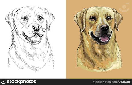 Realistic isolated head of labrador retriever dog vector hand drawing illustration monochrome and color. For decoration, coloring books, design, print, posters, postcards, stickers, t-shirt. Vector hand drawing dog labrador retriever monochrome and color