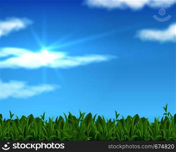 Realistic lawn and sky. 3D spring grass background with sun and clouds. Vector green banner for business presentation and advertisement. Realistic lawn and sky. 3D spring grass background with sun and clouds. Vector banner for business presentation and advertisement
