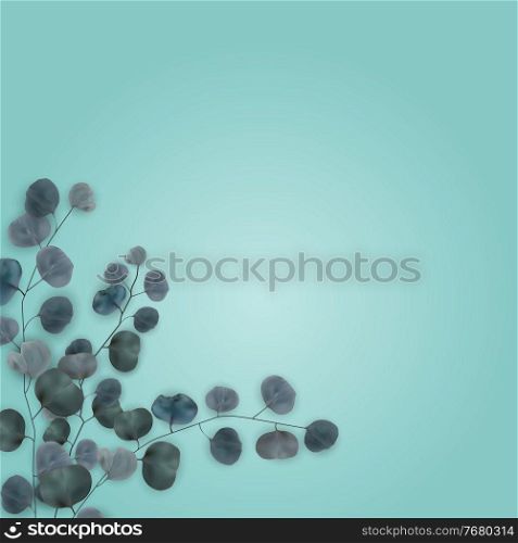 Realistic natural beauty Eucalyptus branches and leaves on blue background. Vector Illustration EPS10. Realistic natural beauty Eucalyptus branches and leaves on blue background. Vector Illustration