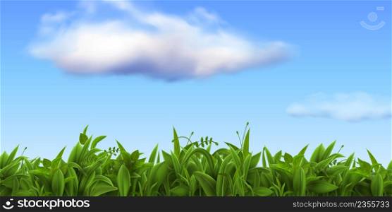 Realistic nature landscape with fresh grass and blue sky with clouds. Spring green farm or football field, meadow or lawn grass vector scene. Wild grassland, summer outdoor environment. Realistic nature landscape with fresh grass and blue sky with clouds. Spring green farm or football field, meadow or lawn grass vector scene