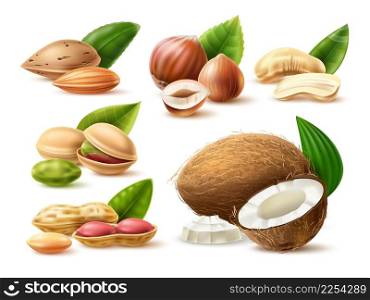 Realistic nuts. 3D natural products. Dry vegetables snacks. Almond and pistachio in shells. Coconut with leaves. Hazelnut kernels or halves. Isolated ripe peanuts and cashew pieces. Vector food set. Realistic nuts. 3D natural products. Dry vegetables snacks. Almond and pistachio. Coconut with leaves. Hazelnut kernels or halves. Isolated peanuts and cashew pieces. Vector food set