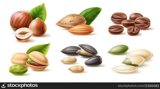 Realistic nuts and seeds. Natural dry snacks with leaves. Healthy vegan products. Coffee beans. Pumpkins and sunflower grains. Isolated hazelnut heap. Pistachios and almonds. Vector plant food set. Realistic nuts and seeds. Natural snacks with leaves. Healthy products. Coffee beans. Pumpkins and sunflower grains. Isolated hazelnut heap. Pistachios and almonds. Vector plant food set