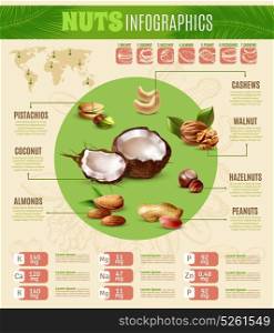 Realistic Nuts Infographics. Colorful realistic infographics presenting information about different kinds of nuts vector illustration